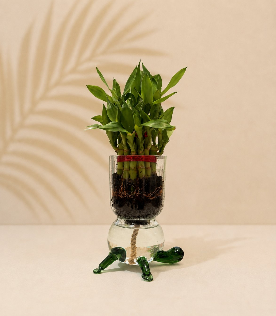 Self-Watering Turtle Planter